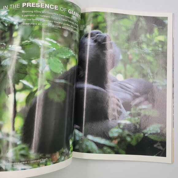 National Geographic January 2008 Volcano Gods Ring of Fire Indonesia - Picture 7 of 10